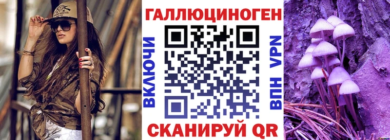 даркнет наркотические препараты  закладки  МЕГА вход  Краснознаменск  Псилоцибиновые грибы мицелий 