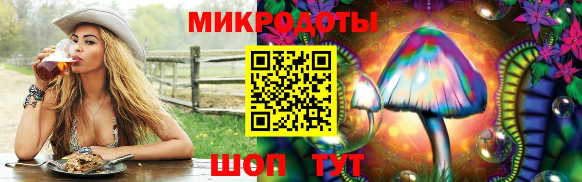 Галлюциногенные грибы GOLDEN TEACHER  Вход с VPN  Краснознаменск 